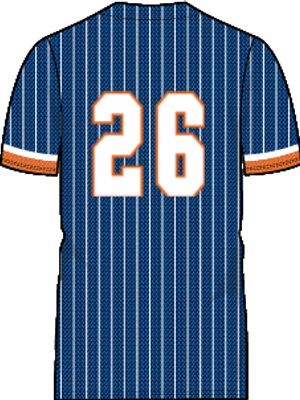 Blue Pinstripe Jersey