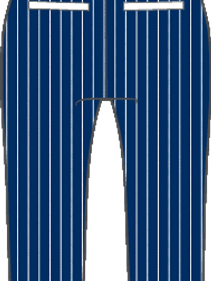 Blue Pinstripe Knicker