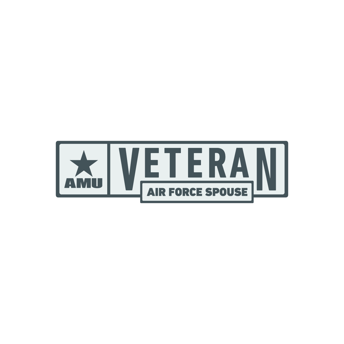 AMU - Air Force Spouse Veteran Pin