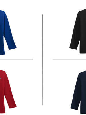 Ladies Port Authority Silk Touch Long Sleeve Polo