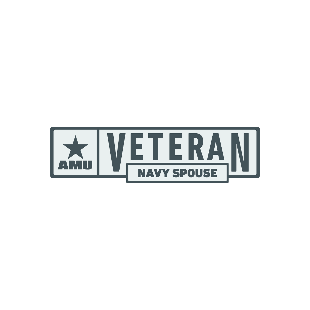 AMU - Navy Spouse Veteran Pin